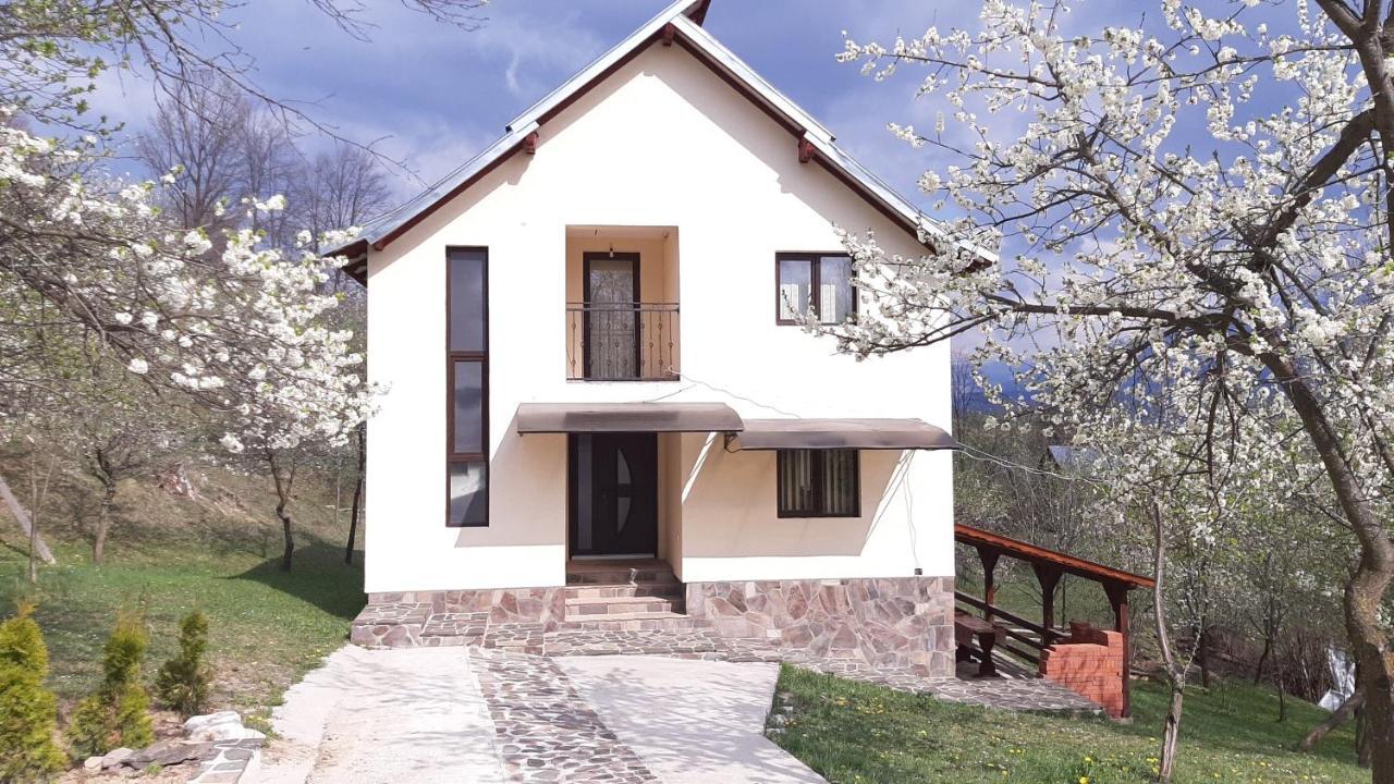 Villa Casa Flutar Moisei Exterior foto